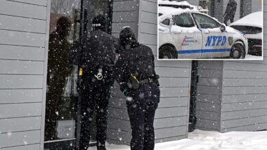 NYC mom accused of stuffing newborn into duffel bag for days cut loose: docs