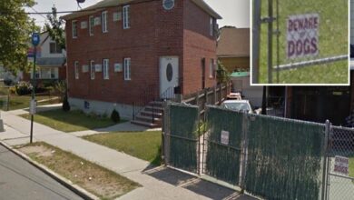 NYPD cops shoot, wound ‘vicious’ pit bull that had been attacking people at bus stop: police