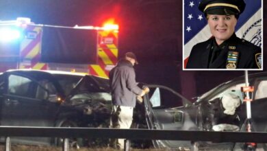 NYPD sergeant kills driver in wrong-way crash on NY highway: cops