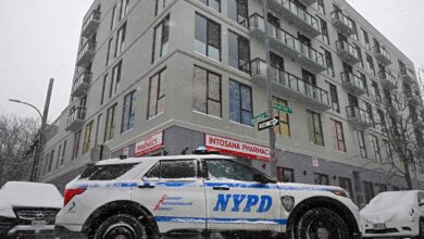 Newborn baby found dead in mom’s NYC apartment : sources