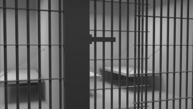 Official Crime Counts May Dramatically Understate US Criminality