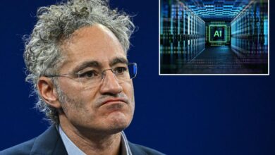 Palantir CEO Alex Karp says AI ‘bolsters civil liberties,’ slams Europe for falling behind US, China