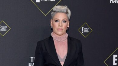 Pink’s Health Struggles Over the Years: Hip Surgery and More