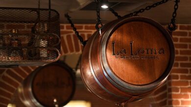 Renee Brinkerhoff sues her ex-husband for M, reviving their legal fight – JS