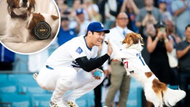 Shohei Ohtani’s dog, Decoy, gets receives one-of-a-kind honor