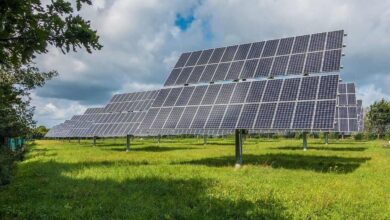 Should You Buy the Dip in First Solar Stock?