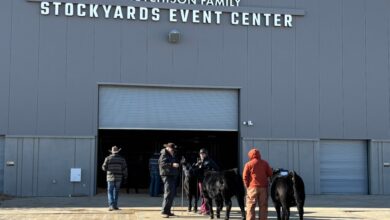 Southeast Colorado ranch family to mark 35 years at National Western