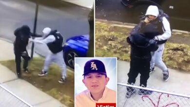 Teen charged in fatal NYC stabbing had just been cut loose without bail: DA