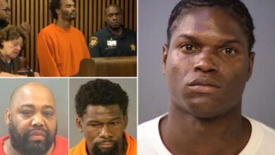 The Bail project spent 91M freeing criminal suspects including future murderers