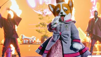 The Masked Singer Season 14 Episode 4 Recap: Queen Corgi Revealed