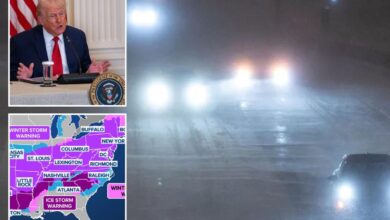 Trump says FEMA is ‘fully prepared’ for Winter Storm Fern as over 9,000 flights are canceled