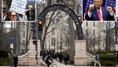 Universities cut over 9,000 jobs in 2025 as Trump targets federal funding: report