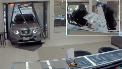 Wild video shows thieves ramming SUV in M jewelry heist
