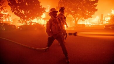 Wildfire smoke exposure during pregnancy linked to autism risk in children
