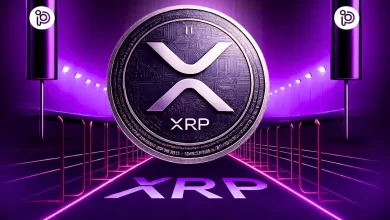 Onchain Signals Elevating XRP Rally Odds