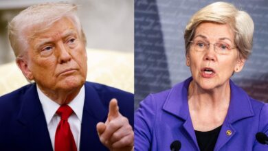 Sen. Elizabeth Warren says Congress could work with Trump to cap credit card rates