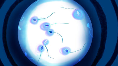A ‘guy-necologist’? Startups push semen analysis as male Pap smears