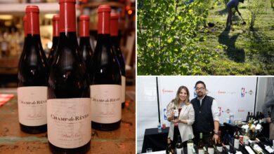 Another California wine giant shuts site and axes staff as chaos rips across Napa Valley