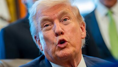 Authoritarianism Expert Says Trump Is Doing The Exact Thing That Never Ends Well