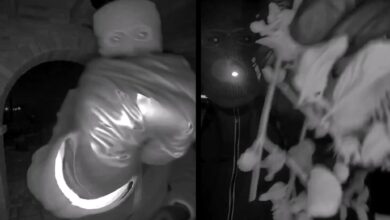 Authorities Release First Videos, Pics of Potential Subject in Nancy Guthrie Case