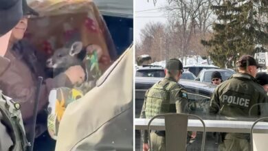 Bizarre encounter between feds, exotic-animal owner outside LI coffee shop
