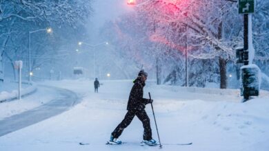 Blizzard Warnings And Travel Shutdowns Trap Millions At Home In Northeastern U.S.