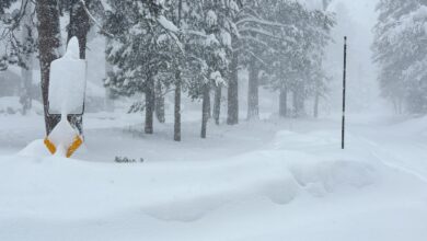 10 backcountry skiers missing following avalanche in northern California: Authorities