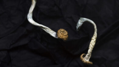 Compass says psilocybin drug for severe depression succeeds in trials