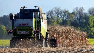 Corn Posting Early Turnaround Tuesday Gains