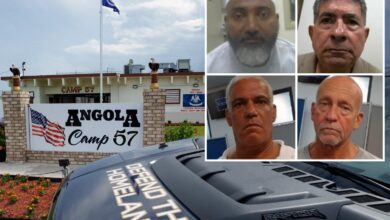 DHS slams ‘activist judge’ for releasing four illegal immigrants with previous homicide and child sex crime convictions: ‘Inexcusably reckless’ 