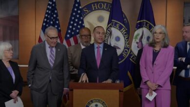 Democrats Are Winning And Just Made A Game Changing Demand On ICE Reform