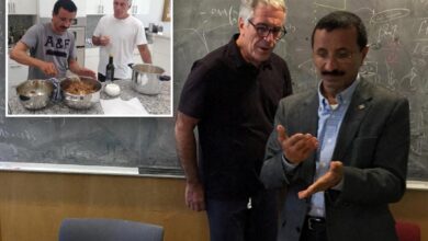 Dubai tycoon exchanged sexually explict emails with Jeffrey Epstein for years, records show