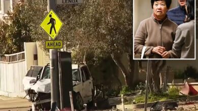 Elderly Calif. woman who fatally ran down family of 4, likely to avoid prison stint