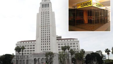 Empty City Hall leaves once-thriving Los Angeles Mall deserted