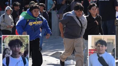 Far-left group urges LA students to rebel as ICE officer attacked