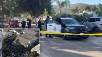 Grandfather, 10-year-old granddaughter stabbed while heading to school in LA