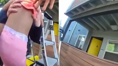 Harrowing video captures California cops catching toddler, dog tossed off balcony during massive apartment fire