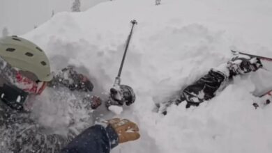 Heart stopping moment skier is rescued after being buried alive under mount of snow in Lake Tahoe