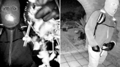 Key giveaways in Nancy Guthrie case that show suspected kidnapper is not ‘a trained assassin’: former FBI special agent