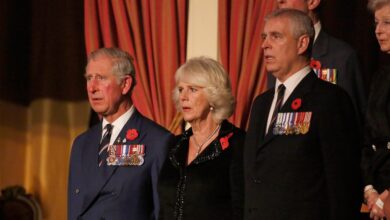 King Charles, More Royals React to Prince Andrew’s Arrest and Epstein Ties