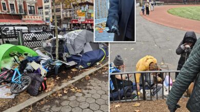 NYC shop owners claim junkies shoplifting, selling goods for drugs: ‘It’s like a parade’