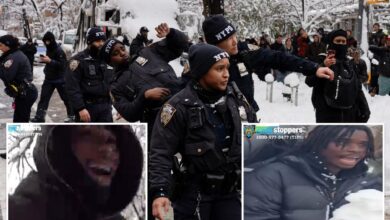 NYPD releases photos of 2 more ruffians wanted for pelting cops with snowballs in post-blizzard Washington Square Park chaos