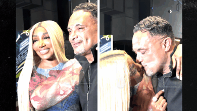NeNe Leakes Seen Kissing Memphis Attorney at Grizzlies Game