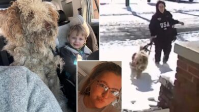 North Carolina woman Dason Garner charged, fired after rescuing abandoned dog during snowstorm