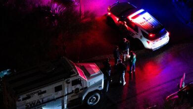 People Detained In SWAT Swarm On House Near Nancy Guthrie Neighborhood: Reports