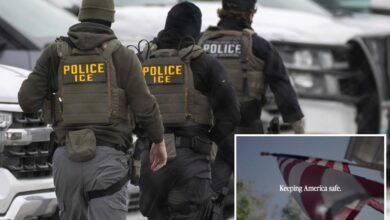 Pro-ICE ads reminding Americans of ‘dangerous illegal immigrants’ Biden let in to run in swing states ahead of State of the Union 