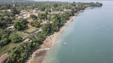 Proposed CDC-funded hep B trial in Africa unethical, WHO chief says