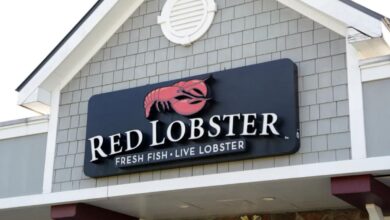 Red Lobster likely closing more restaurants after shuttering 130: CEO