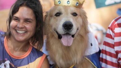 Rio Carnival street party dogs parade as humans protest against pet killers