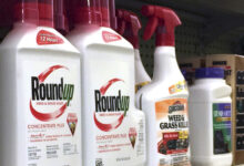 Supreme Court, Roundup, CRISPR, CDC office: Morning Rounds